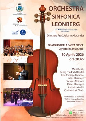 Concerto dell'Orchestra sinfonica Leonberg